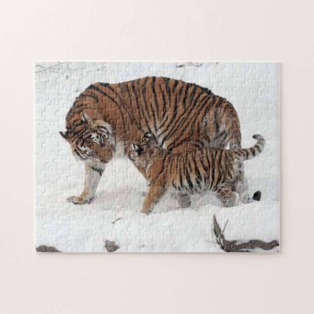 Puzzle Tigre et cub dans la neige (Horizontal)