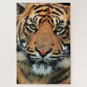 Puzzle Tigre - Face -
