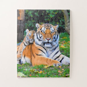 Puzzle Tigre & Poing bébé magnifiquement dans l'herbe ens