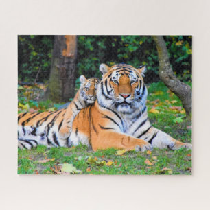 Puzzle Tigre & Poing bébé magnifiquement dans l'herbe ens