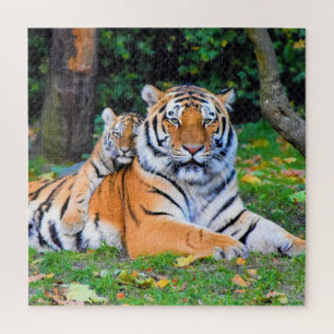Puzzle Tigre & Poing bébé magnifiquement dans l'herbe ens