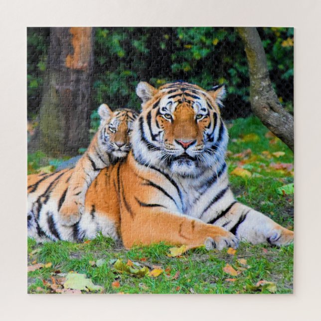 Puzzle Tigre & Poing bébé magnifiquement dans l'herbe ens (Vertical)