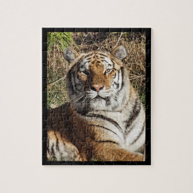 Puzzle Tigre royal (Vertical)