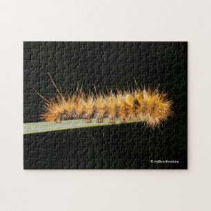 Puzzle Tigre tacheté en argent / Toulouse laine