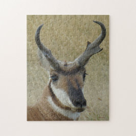 Puzzle Tir dans la tête d'Antilope d'Amérique A5