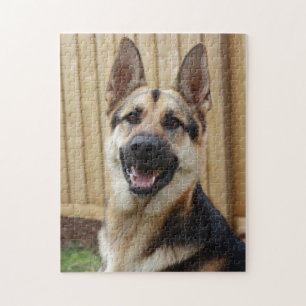 Puzzle Tir principal de GSD