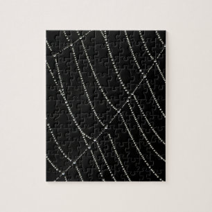 Puzzle Toile d'araignée