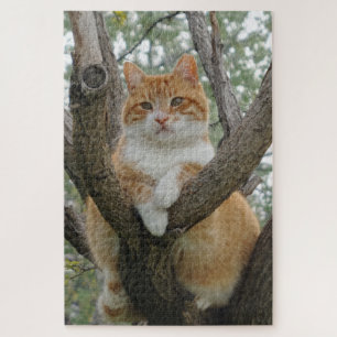 Puzzle Tomcat