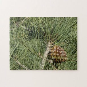 Puzzle Torrey Pine Closeup California Botanical