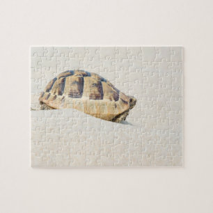 Puzzle Tortue