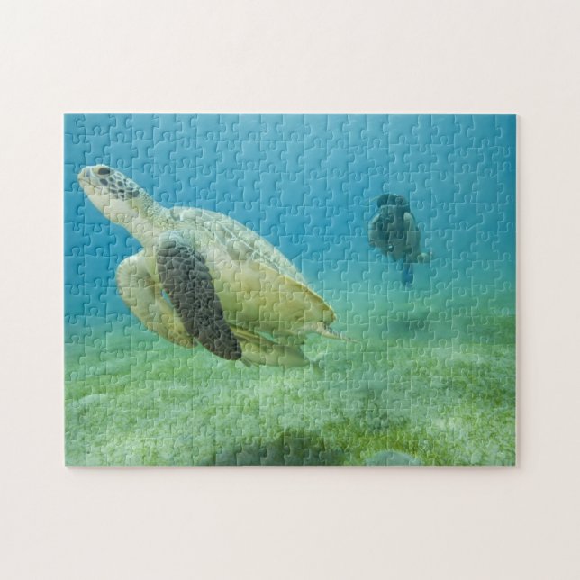 Puzzle Tortue (Horizontal)