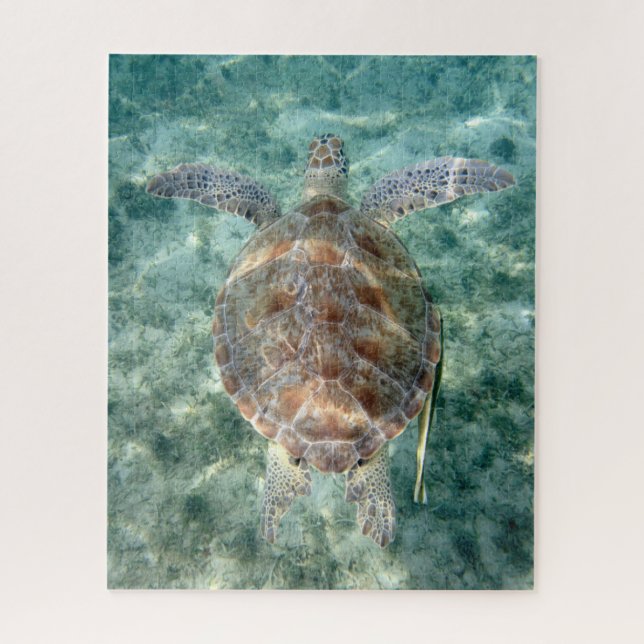Puzzle Tortue de mer (Vertical)