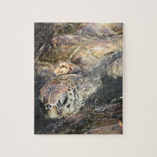 Puzzle Tortue de mer adulte