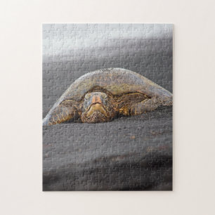 Puzzle Tortue de mer - Plage de sable noir - Hawaii Puzzl