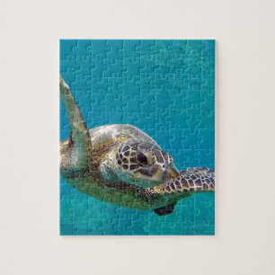 Puzzle Tortue de mer verte d'Hawaï - Honu