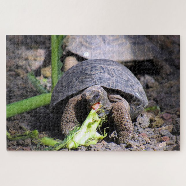 Puzzle tortue des bébés galapagos (Horizontal)