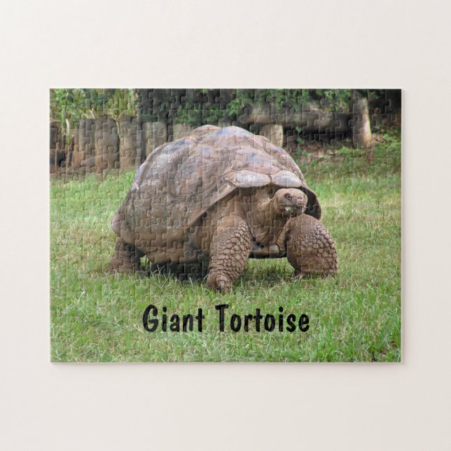 Puzzle Tortue géante (Horizontal)