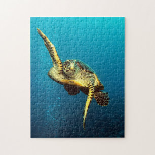 Puzzle Tortue marine nageant sous l'eau