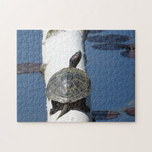 Puzzle Tortue peinte de l'Est assise sur bouleau