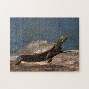 Puzzle Tortue peinte sur un bûcher