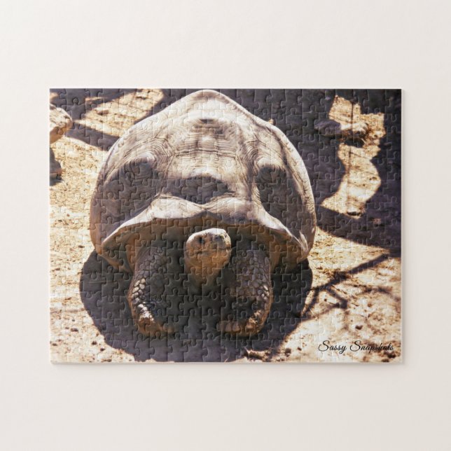 Puzzle Tortue stimulée africaine (Horizontal)