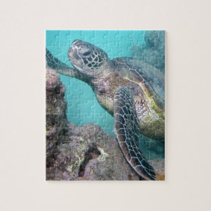 Puzzle Tortue verte d'Hawaii