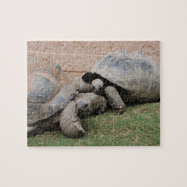 Puzzle tortues géantes (Horizontal)