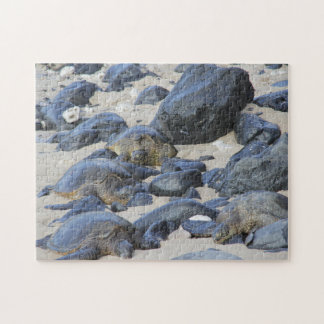 Puzzle Tortues marines à Maui