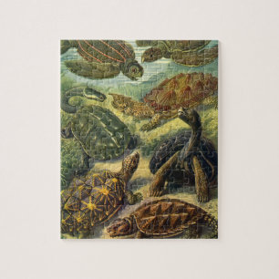 Puzzle Tortues marines Tortue terrestre vintage par Ernst