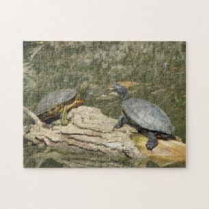 Puzzle Tortues peintes