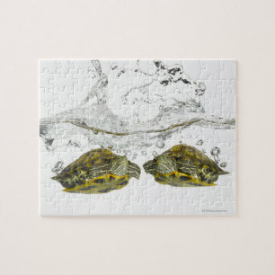 Puzzle Tortues rouges de glisseur