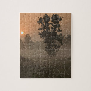 Puzzle Tôt le matin, lever de soleil et brouillard au sol