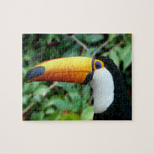 Puzzle Toucan à bec jaune (Horizontal)