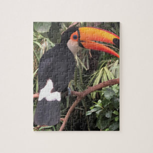Puzzle "Toucan talkie!"