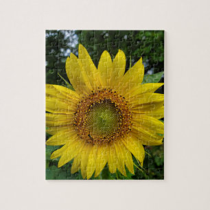 Puzzle Tournesol