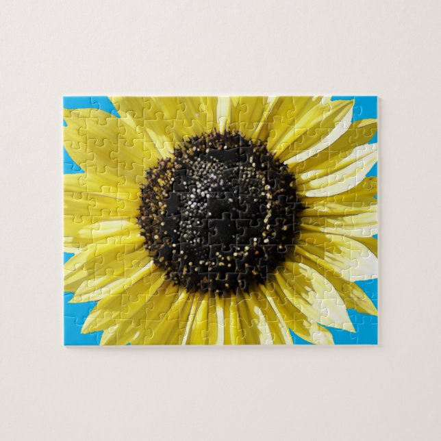 Puzzle Tournesol (Horizontal)