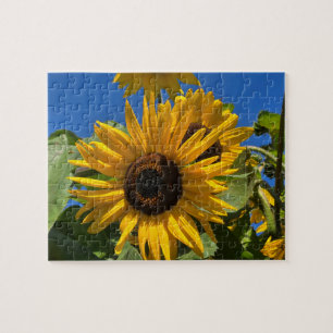 Puzzle Tournesol