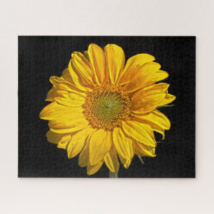 Puzzle Tournesol 16x20 520pc jpcnm