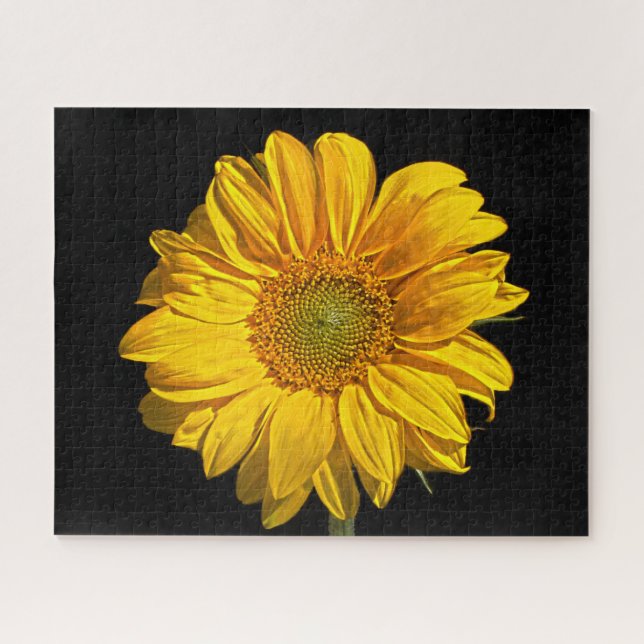 Puzzle Tournesol 16x20 jpcna 520pc (Horizontal)