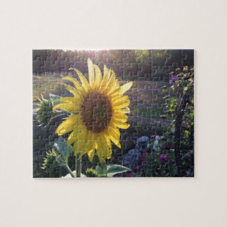 Puzzle tournesol au coucher du soleil —