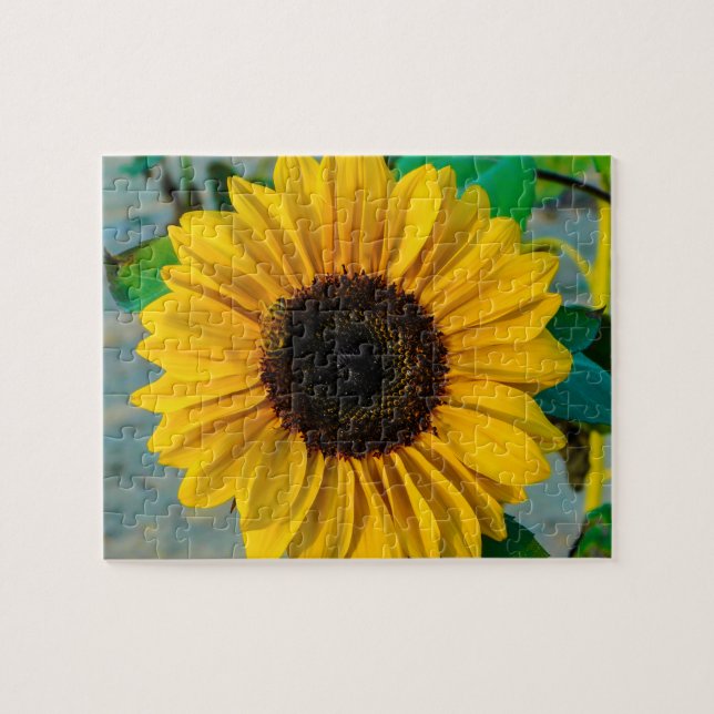 Puzzle Tournesol avec abeille (Horizontal)