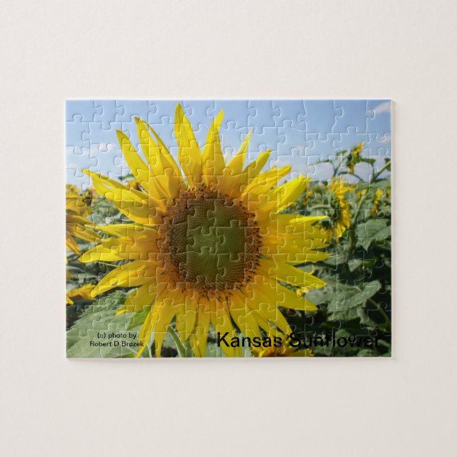 Puzzle Tournesol du Kansas (Horizontal)
