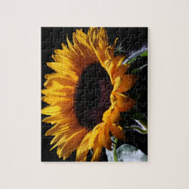 Puzzle Tournesol en studio 1