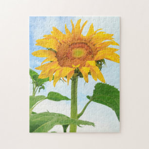 Puzzle Tournesol, jardin communautaire, Moses Lake, WA, É