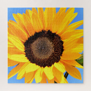 Puzzle Tournesol jaune contre soleil sur ciel bleu - été