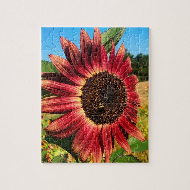 Puzzle Tournesol rouge avec abeille (Vertical)