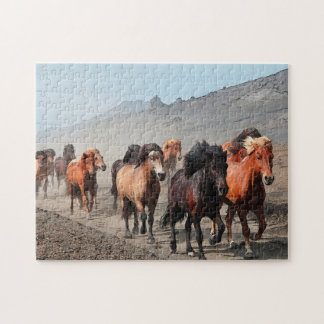Puzzle Traînée occidentale