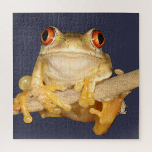 Puzzle Tree Frog