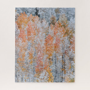 Puzzle Trembles et neige   Montagnes Rocheuses, Colorado