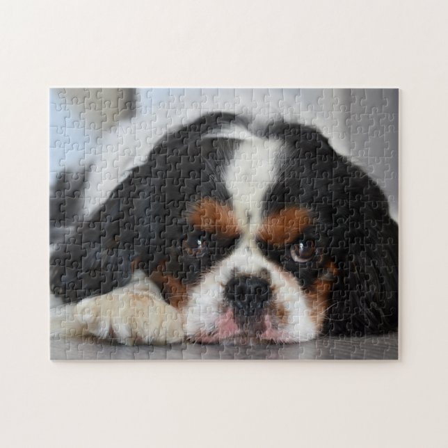 Puzzle Tri Couleur Cavalier King Charles Spaniel Chien Ch (Horizontal)